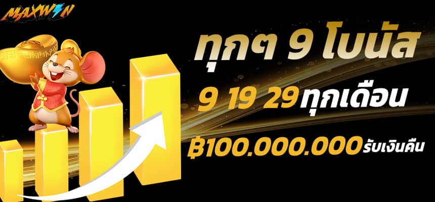 แบนเนอร์ 4 maxwyn โปรโมชั่น ทุกวันที่ 9