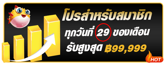 โปรต้อนรับสมาชิกใหม่วันที่ 29 maxwyn