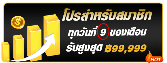 โปรพิเศษสมาชิกใหม่วันที่ 9 maxwyn